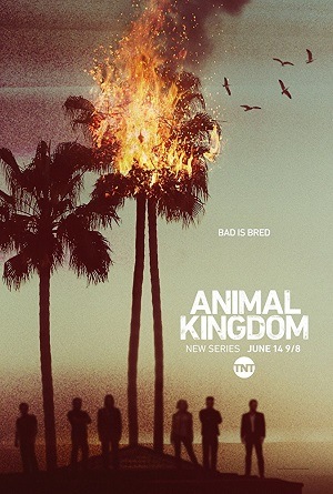 Animal Kingdom - 1ª Temporada