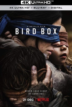 Caixa de Pássaros - Bird Box 4K