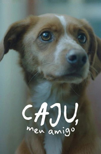 Caju Meu Amigo