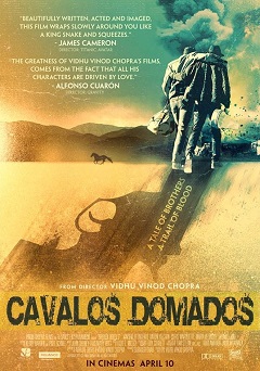 Cavalos Domados