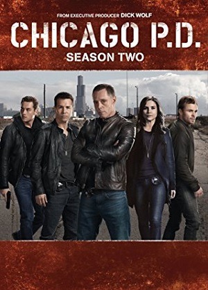 Chicago P.D. Distrito 21 - 2ª Temporada Legendada