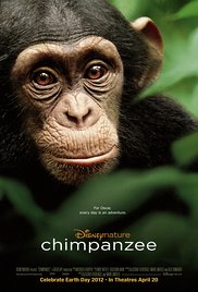 Chimpanzé