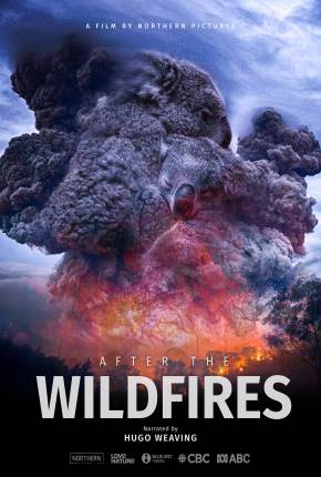 Depois dos Incêndios Florestais