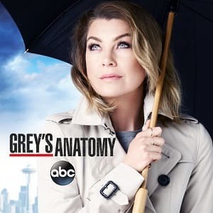 Greys Anatomy - 12ª Temporada