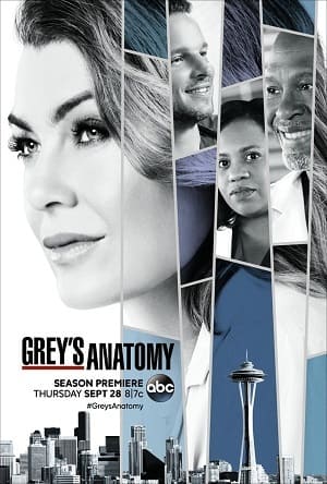 Greys Anatomy - 14ª Temporada