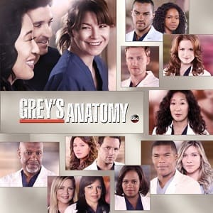Greys Anatomy - A Anatomia de Grey 10ª Temporada