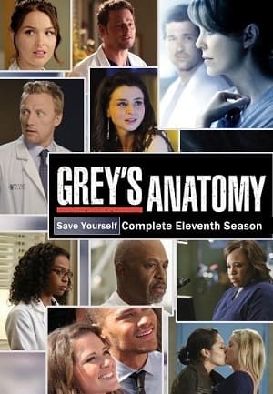 Greys Anatomy - A Anatomia de Grey 11ª Temporada Completa