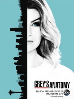 Greys Anatomy - A Anatomia de Grey 13ª Temporada Completa