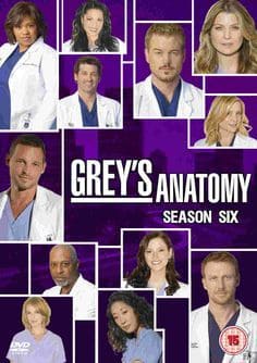 Greys Anatomy - A Anatomia de Grey 6ª Temporada