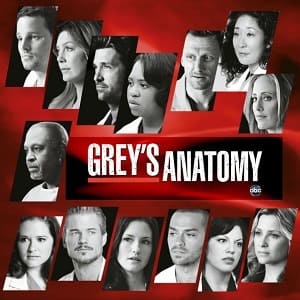Greys Anatomy - A Anatomia de Grey 7ª Temporada