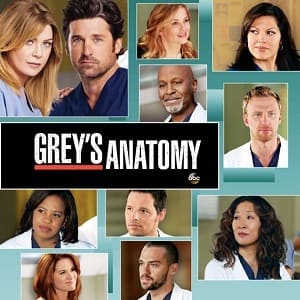 Greys Anatomy - A Anatomia de Grey 9ª Temporada
