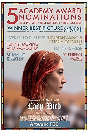 Lady Bird - É Hora de Voar