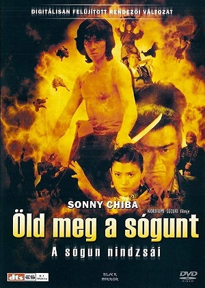 O Segredo de Ninja
