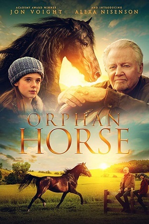 Orphan Horse - Legendado