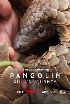 Pangolim - A viagem de Kulu