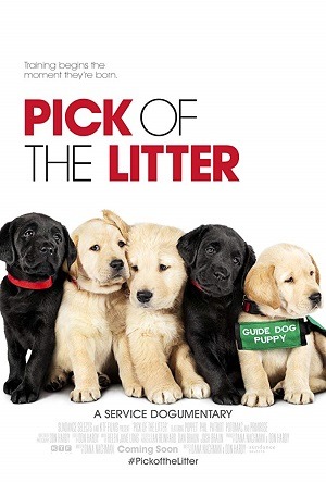 Pick of the Litter - Legendado