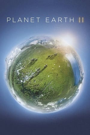 Planeta Terra 2