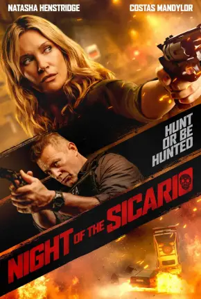 Sicario - Perigo no Abrigo - Blindsided
