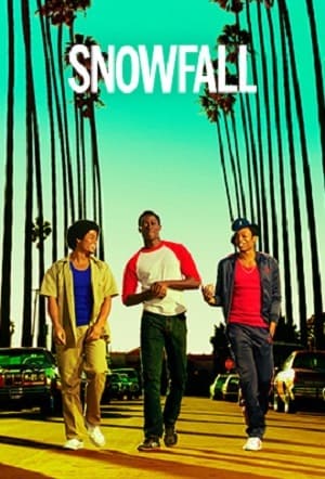 Snowfall