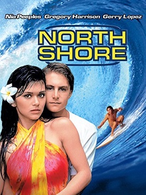 Surf no Hawaí