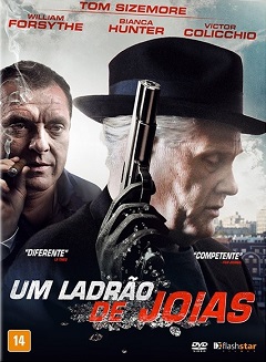 Um Ladrão de Jóias