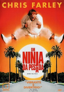 Um Ninja da Pesada