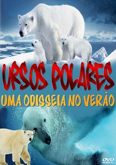 Ursos Polares